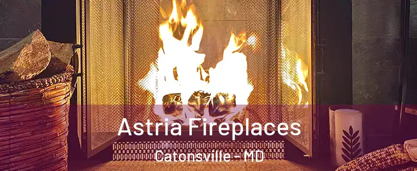  Astria Fireplaces Catonsville - MD