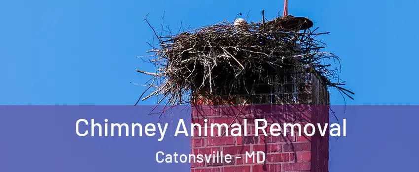 Chimney Animal Removal Catonsville - MD
