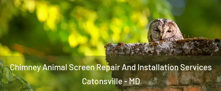  Chimney Animal Screen Repair And Installation Services Catonsville - MD