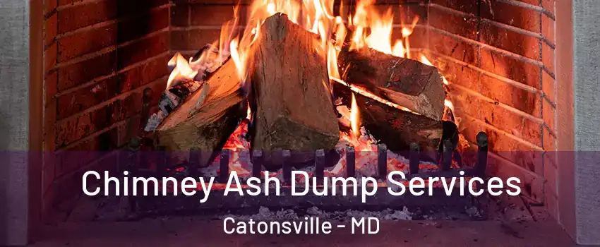  Chimney Ash Dump Services Catonsville - MD