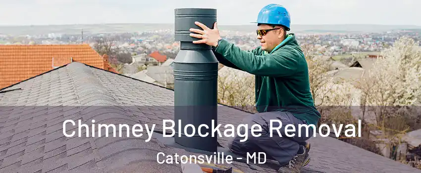  Chimney Blockage Removal Catonsville - MD
