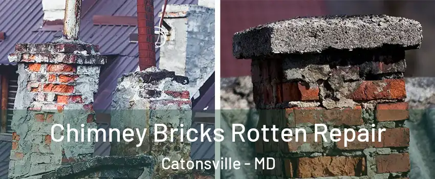  Chimney Bricks Rotten Repair Catonsville - MD
