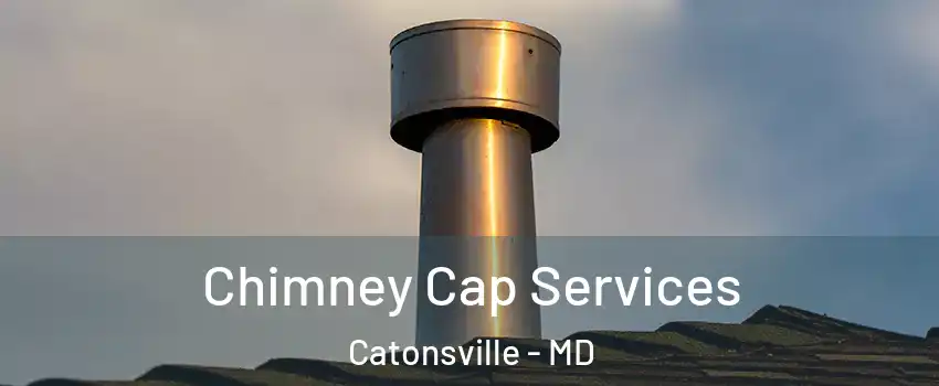  Chimney Cap Services Catonsville - MD