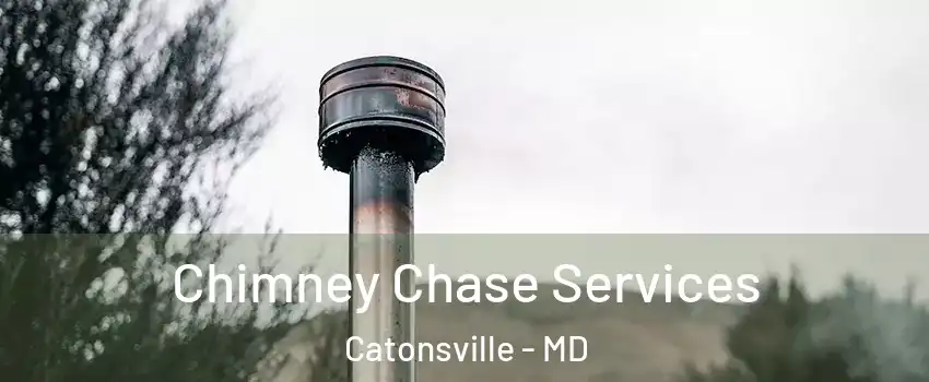  Chimney Chase Services Catonsville - MD