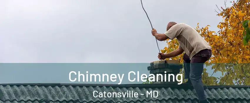  Chimney Cleaning Catonsville - MD