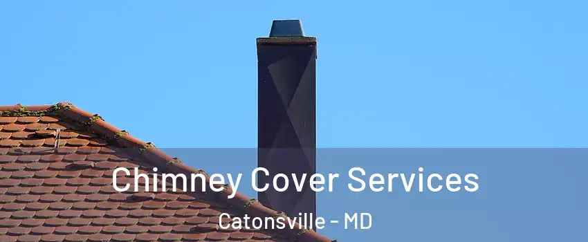  Chimney Cover Services Catonsville - MD