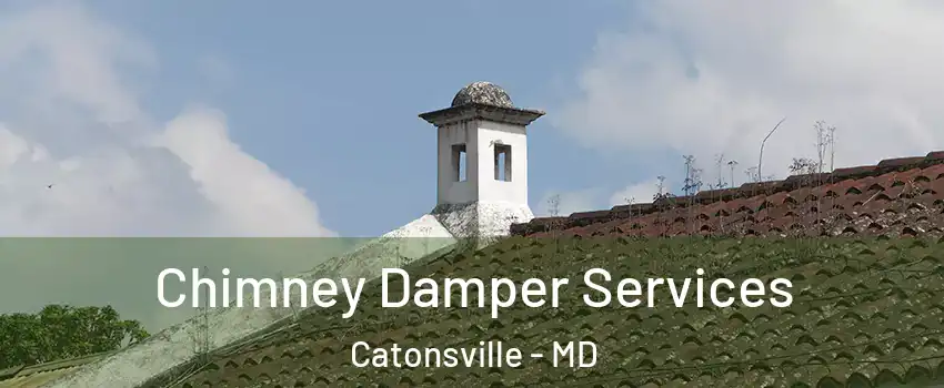  Chimney Damper Services Catonsville - MD