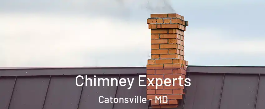 Chimney Experts Catonsville - MD