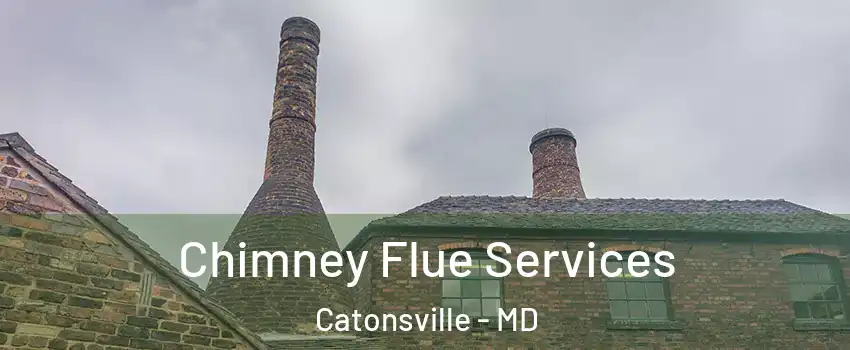  Chimney Flue Services Catonsville - MD
