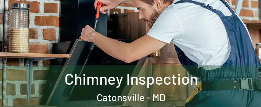  Chimney Inspection Catonsville - MD