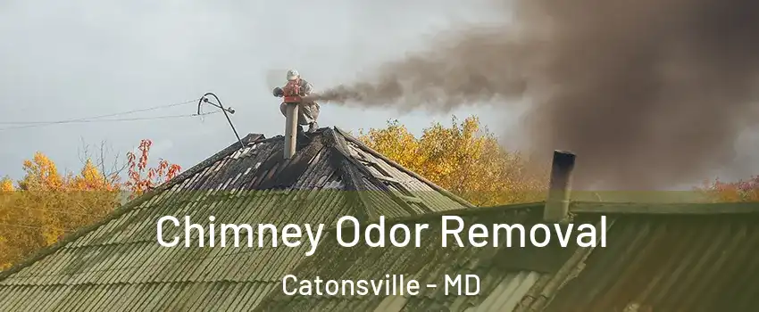 Chimney Odor Removal Catonsville - MD