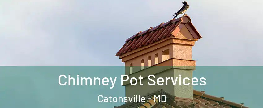  Chimney Pot Services Catonsville - MD