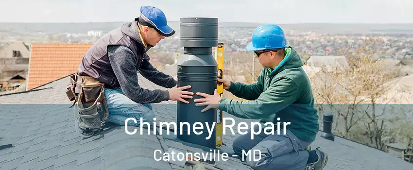  Chimney Repair Catonsville - MD
