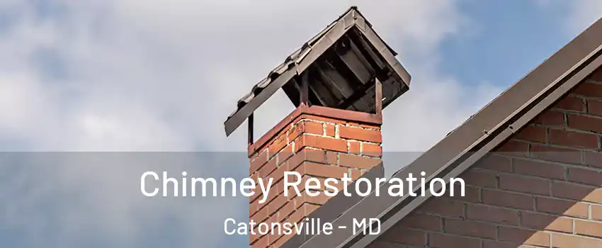  Chimney Restoration Catonsville - MD