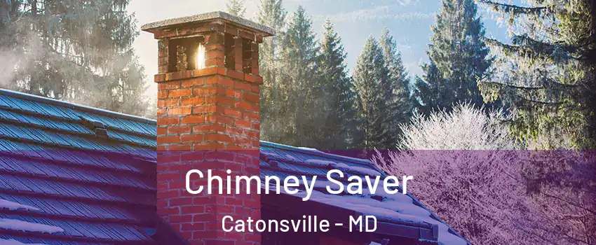  Chimney Saver Catonsville - MD