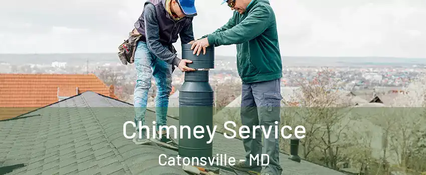 Chimney Service Catonsville - MD