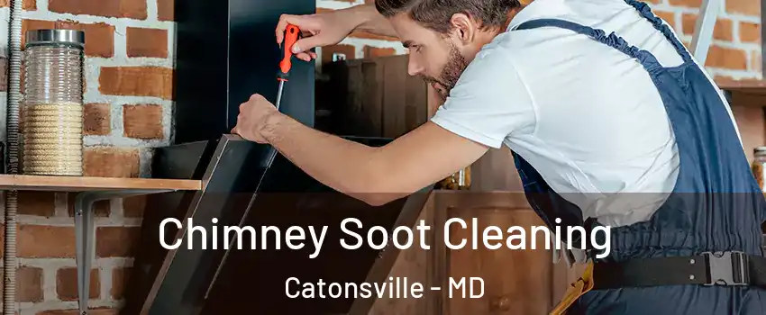 Chimney Soot Cleaning Catonsville - MD