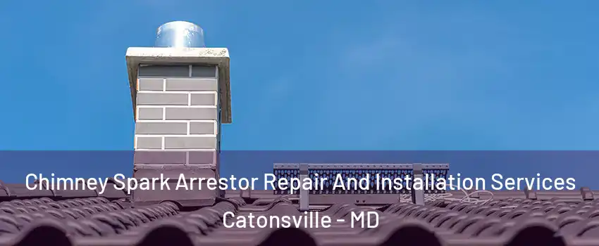  Chimney Spark Arrestor Repair And Installation Services Catonsville - MD