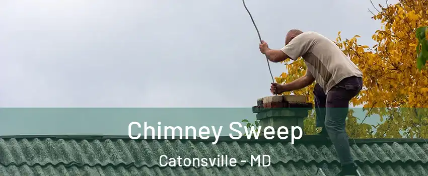  Chimney Sweep Catonsville - MD