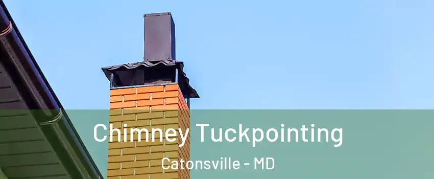  Chimney Tuckpointing Catonsville - MD