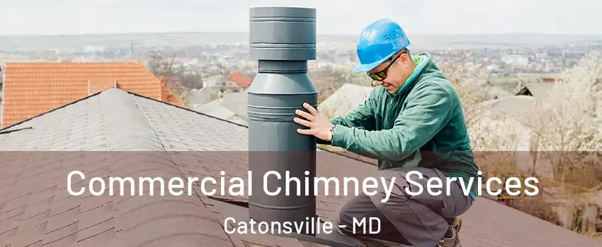  Commercial Chimney Services Catonsville - MD