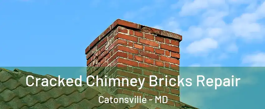 Cracked Chimney Bricks Repair Catonsville - MD