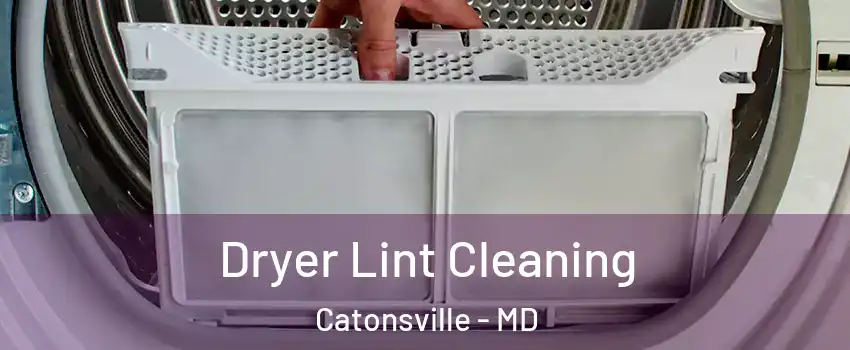 Dryer Lint Cleaning Catonsville - MD