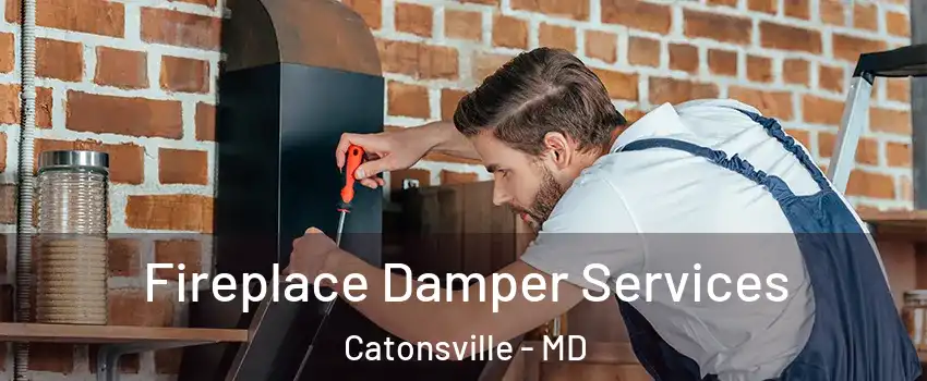  Fireplace Damper Services Catonsville - MD