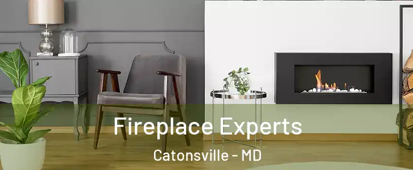  Fireplace Experts Catonsville - MD