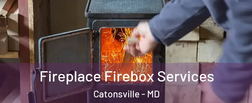  Fireplace Firebox Services Catonsville - MD