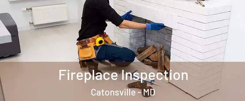  Fireplace Inspection Catonsville - MD