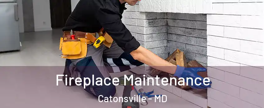  Fireplace Maintenance Catonsville - MD