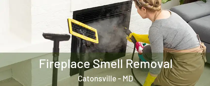  Fireplace Smell Removal Catonsville - MD