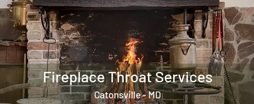  Fireplace Throat Services Catonsville - MD