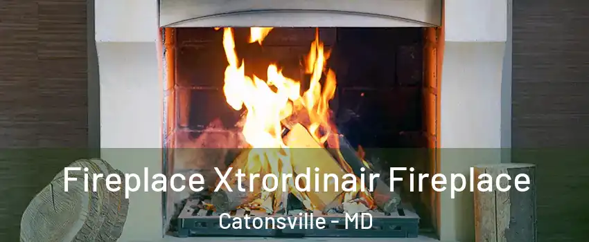  Fireplace Xtrordinair Fireplace Catonsville - MD