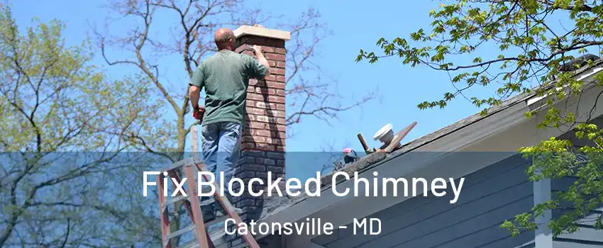  Fix Blocked Chimney Catonsville - MD