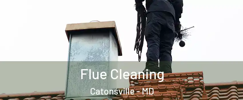  Flue Cleaning Catonsville - MD