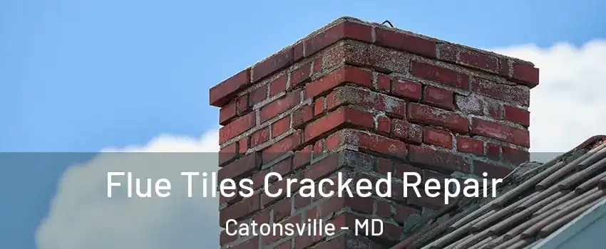  Flue Tiles Cracked Repair Catonsville - MD