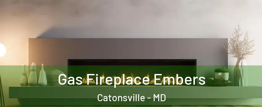  Gas Fireplace Embers Catonsville - MD