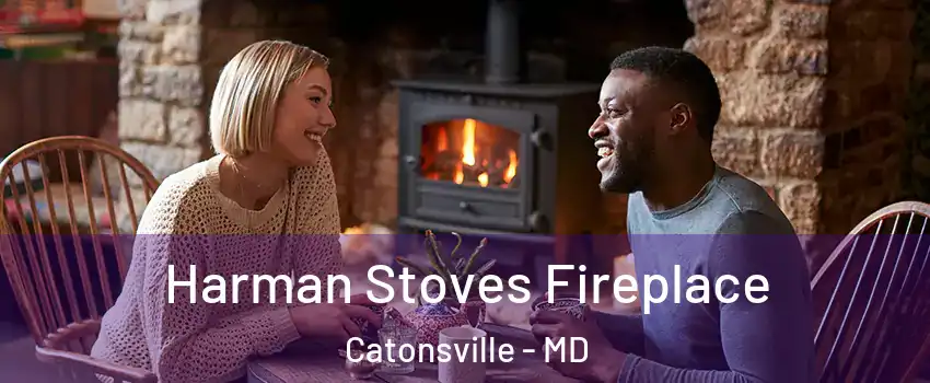  Harman Stoves Fireplace Catonsville - MD