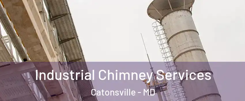  Industrial Chimney Services Catonsville - MD