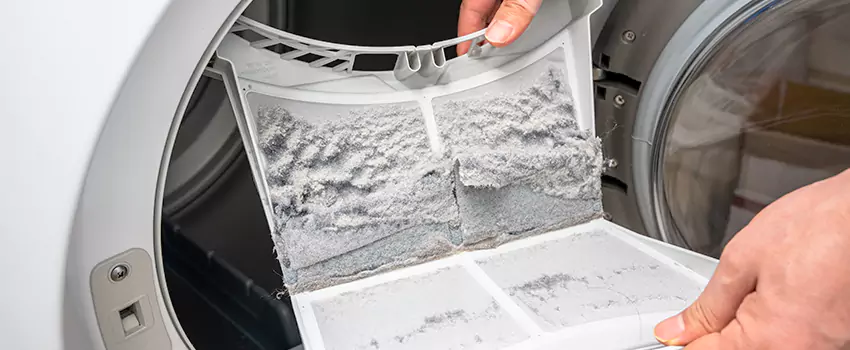 Best Dryer Lint Removal Company in Catonsville, Maryland