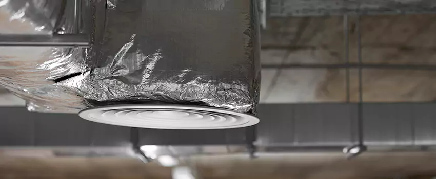 Signs of Dust Accumulation in Vents in Catonsville, MD