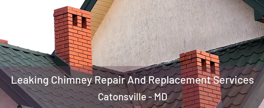  Leaking Chimney Repair And Replacement Services Catonsville - MD