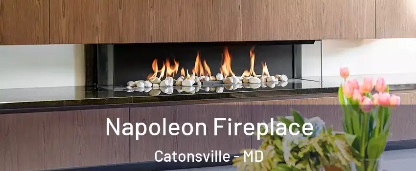  Napoleon Fireplace Catonsville - MD