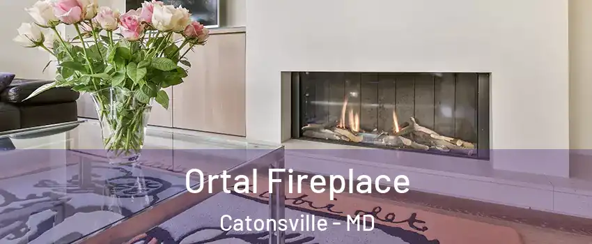 Ortal Fireplace Catonsville - MD
