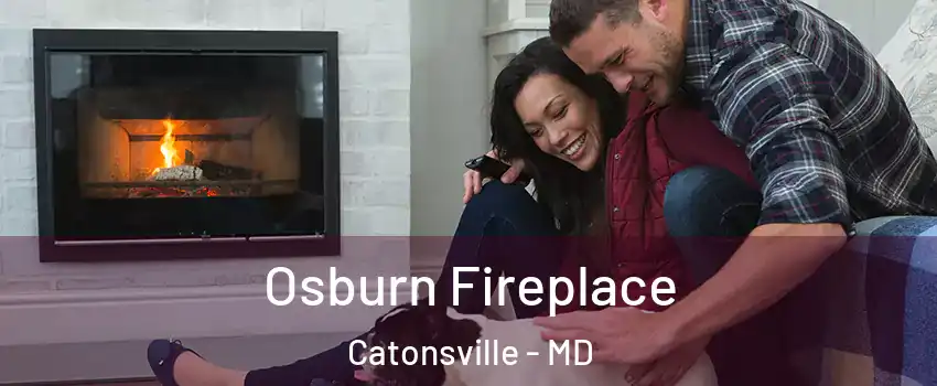  Osburn Fireplace Catonsville - MD