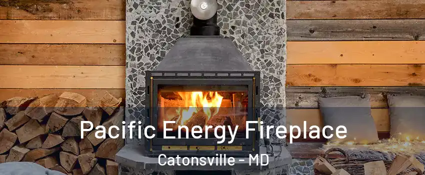  Pacific Energy Fireplace Catonsville - MD